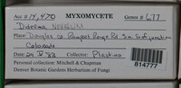 Image Associated With the Occurence
